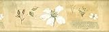 Concord WALLCOVERINGS ™ Vintage Botanical Flower Wallpaper Border, 7' x 15' Scholarly Plant Illustration, Natural History Decor, Country Farmhouse Style, Unpasted Washable Vinyl #RY3385B