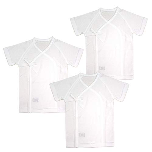 [[D] Vp tCX Z 3g 100 TCY50-60cm OD Y܂čŏɒ锧ł I[V[YΉ HG1 SS4 AW13