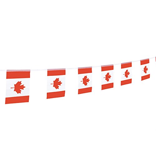 TSMD Canada Flag, 100 Feet Canadian Flag National Country Flags Banner,Party Decorations Supplies for Grand Opening,Olympics,Bar,School Sports Events,International Festival Events Celebration