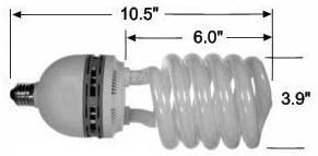 KAEZI 85 Watt Studio Light Bulb 5500K CFL Day Light.