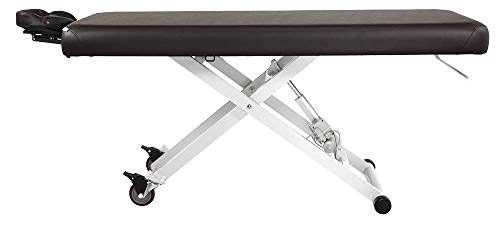 Skinact Stella Electric Medical Spa Treatment Table (Facial Chair/Bed) Ada Compliant (Brown) #TOP2