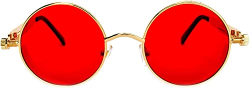 Image of OWL Steampunk Vintage Retro Round Circle Gothic Hippie Colored Plastic Frame Sunglasses Colored Lens