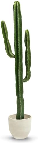 MAIA SHOP Cactus Artificial 190 cm – Planta Decorativa Grande y R...