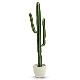 MAIA SHOP Cactus Artificial 190 cm – Planta Decorativa Grande y Realista, Hoteles y Proyectos de Interiorismo