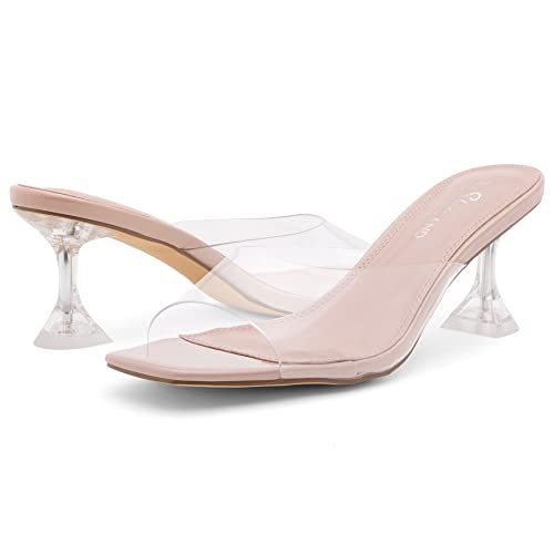 Shoe Land Celebrate Women's Open Toe Open Back Stiletto Heel Dress Shoes Perspex Vamp Slip On Clear Heels Sandals Clearnude 8.0 #TOP7