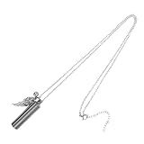 LIOOBO Collar de Urna para Cenizas de Mascotas en Acero Inoxidable Resistente, Colgante Pequeño Diseño de Alas de Ángel, Recuerdo Portátil para Perros y Uso Diario
