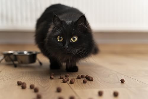 Canina Rinderblutpulver für Hunde & Katzen, 1er Pack (1 x 250 g)