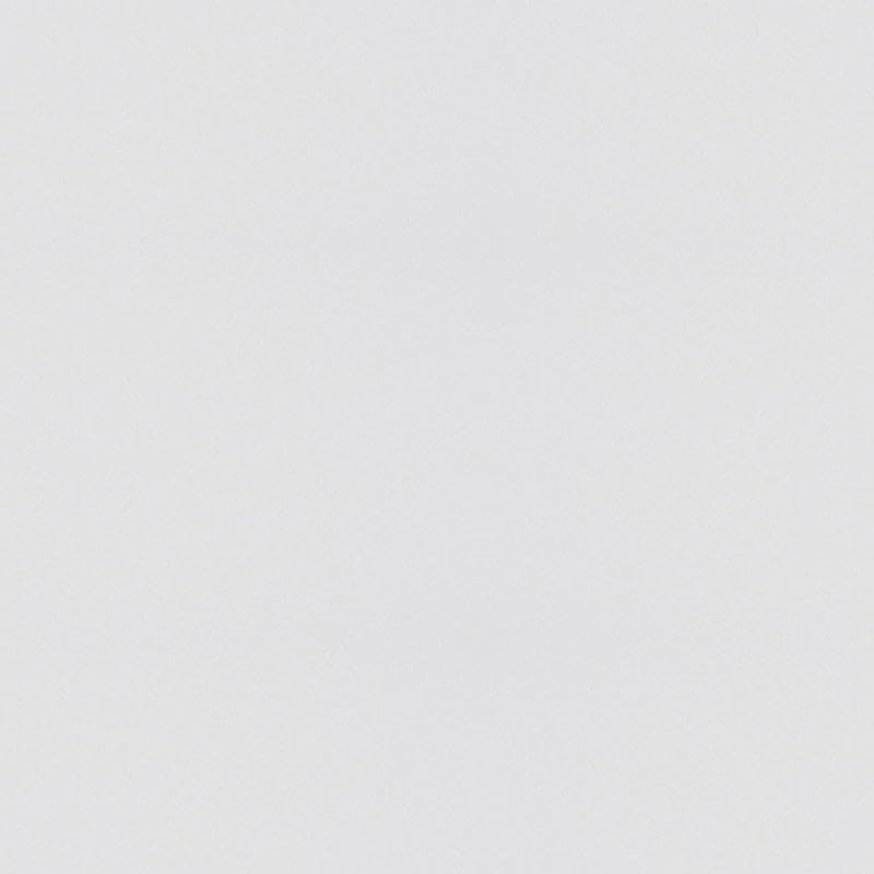 R&E Paint Supply Compatible with Nissan ZC, Pure White Automotive Paint, 11oz Aerosol