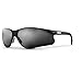 Sectorlite Safety Glasses (Black Frame/Smoke Lens)