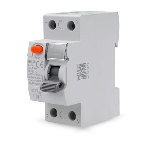 DEWIN FI Schutzschalter 2polig, 2P 63A 30mA GYL10 RCCB Fehlerstromschutzschalter FI Schalter AC 230V Typ AC