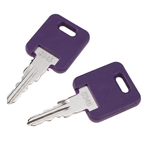 Image of DVPARTS 10X RV Camper Keys Key #345 G345 013-690345 Compatible with Global Link RV Trailer Camper Keys Purple