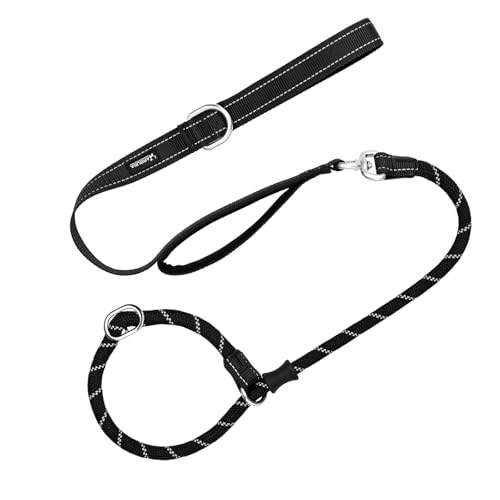 Arblina Laisse Chien, Laisse Lasso pour Chien Doté de Double Poignées, Noir, 1.2cm*1.8m