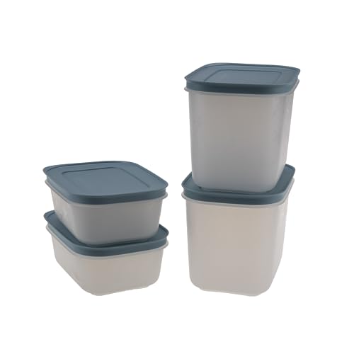 Tupperware Contenitore congelatore 450 ml (2) + 1,1 l (2) cristallo di ghiaccio blu fumo