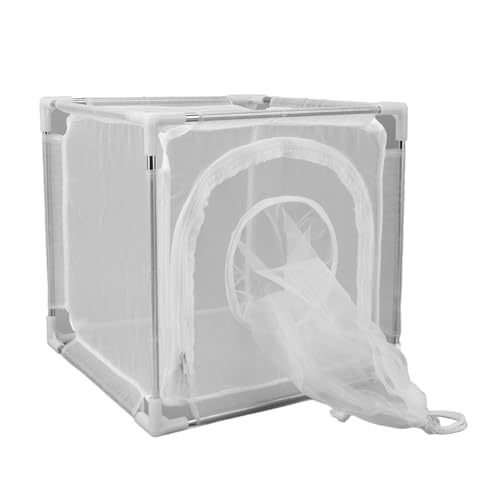 Cage d'observation de la mouche avec structure stable en filet de nylon