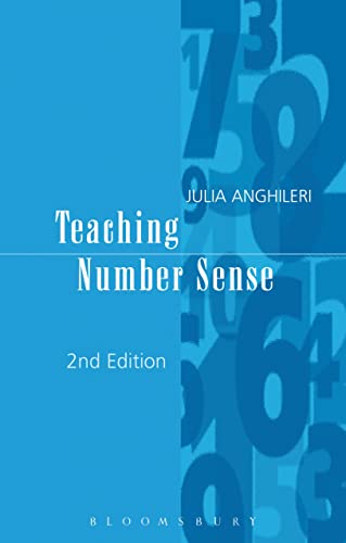 Teaching Number Sense view 2