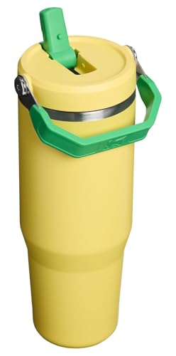 Image of STANLEY IceFlow 2.0 Flip Straw Tumbler with Handle, 30 oz | Twist On Lid and Flip Up Straw | Leak Resistant Water Bottle | Insulated Stainless Steel | BPA-Free | Team Yellow Green