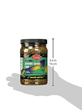 Small Animal Supplies Juvenile Iguana Food 12.4Oz (Jar) #TOP3