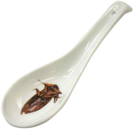 Amazon Co Jp 衝撃第4弾 タガメ 世界の美食ゲテモノレンゲ面白食器ギフト通販 ホーム キッチン