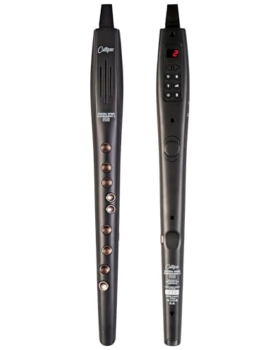 Carry-on Digitales Blasinstrument 2 Plus - 20 Stimmen, eingebauter USB-Akku, Kopfhörerausgang für lautloses Üben, Midi Over Bluetooth Digital Recorder schwarz