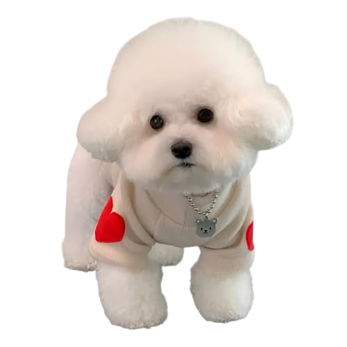 [lalarimi]ypZ[^[ hzH~ n[gIĕt ۉ ^p 1-18ґΉ H ȒP JWA&tH[}piS5TCY3Fj