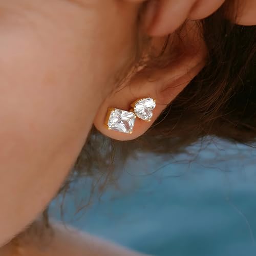 FETTERO Stud Earrings for Women - 14K Gold Plated CZ Hypoallergenic Earrings Studs Dainty Black CZ Leaf Gold Earrings for Women Trendy Statement Jewelry