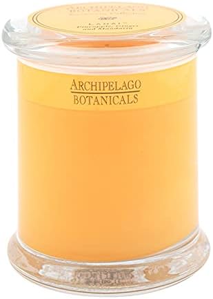 Archipelago Botanicals Lanai Glass Jar Candle | Pineapple, Ginger and Mandarin | Hand-Poured Premium Wax and Lead-Free Wicks | Burns Approx. 60 Hours (8.6 oz)