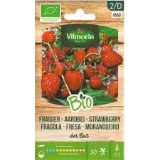 Kit 5 bustine semi FRAGOLA 466B