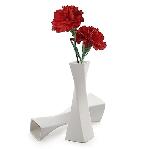 Weiße Vasen zur Dekoration: Keramikvasen für Heim- und Bauernhausdekoration, rustikales Keramikvasen-Set (2 Stück (Weiß))