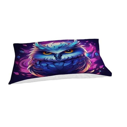 Housse de couette hibou 3D animaux dessin animé, parure lit simple microfibre douce