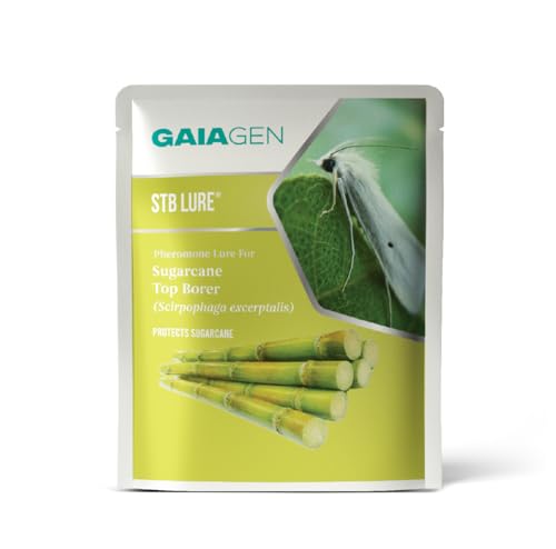 GAIAGEN STB® Lure - Pheromone Lure for Sugarcane Top Borer (Scirpophaga excerptalis) | Pack of 10 | (Does not Include Traps)