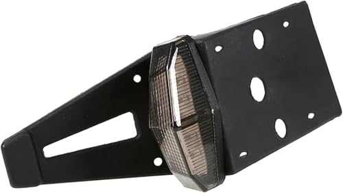 Luz trasera para motocicleta con luz de freno de 12V y soporte de matrícula