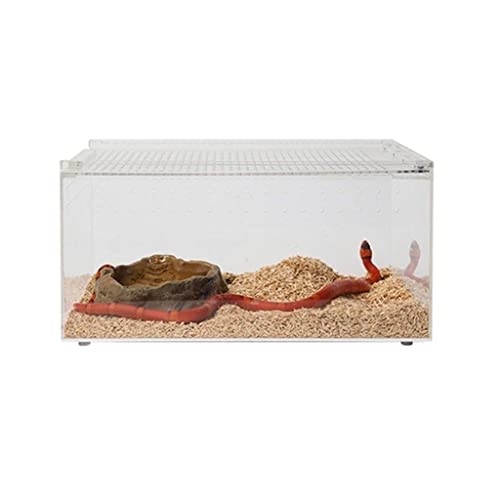 Terrarium pour reptiles transparent boîte d'élevage sans fuite pour serpent
