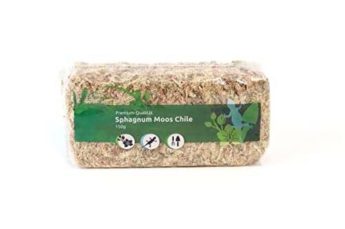 Sphagnum Moos aus Chile – 150 g - Langfaseriges Premium Torfmoos als Substrat, für Orchideen, Zimmerpflanzen, Terrarien, Monstera & Moosstäbe