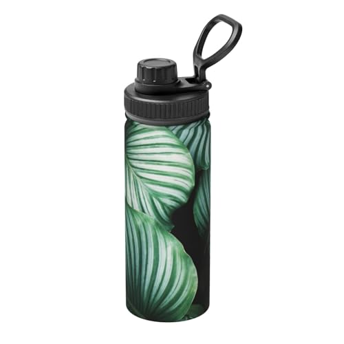 ���� �΂̔M�ѐA���̗t�̃v�����g �X�|�[�c�{�g�� �^��f�M�P�[�^�C�}�O 500ml �X�e�����X�� �T�[���X�J�b�v �e�B�[�J�b�v�}�O �ۉ��ۗ� �ϔM�J�b�v ���J�b�v