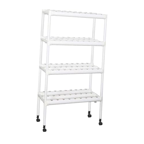 SUNCN k͔|Lbg k͔|VXe  LX^[t t ~g ̐At