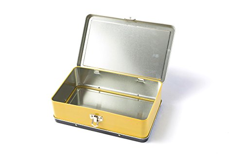 Image of DAHO Metal Storage Box with Hinge for Office, School, Home, Makeup, Arts & Crafts and Accessories (Gold)