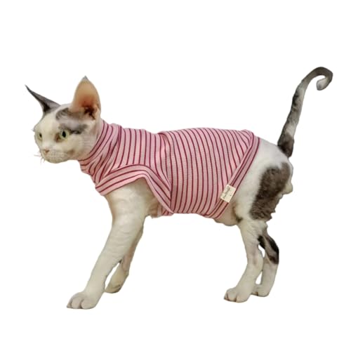 Chandail en coton doux et extensible facile à enfiler pour chat sphynx, chat Devon, chat Rex de Cornouailles et chat Peterbald (rose, taille S)