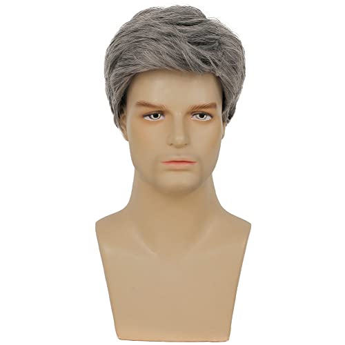 Kaneles Mens Grey Short Wig Synthetic Replacement Costume Halloween Soft Layered Natural Hair Male Wigs (Gray)
