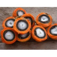 Tucuma Butter (8 Oz) - 100% Natural - Sustainable Product - Extraction: Cold Pressed