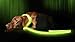 Illumiseen LED Dog Leash - USB Rechargeable - Your Dog Will Be More Visible & Safe - 6 Colors (Red, Blue, Green, Pink, Orange & Yellow) - Perfect to Use with Our Matching Collar (6 Feet, Green)