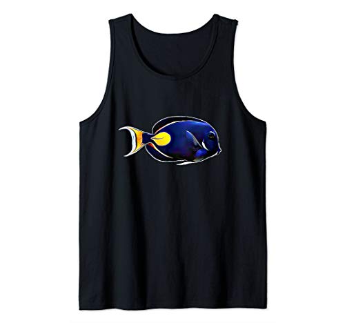 Achilles Tang Saltwater Reef aquarium fish Tank Top