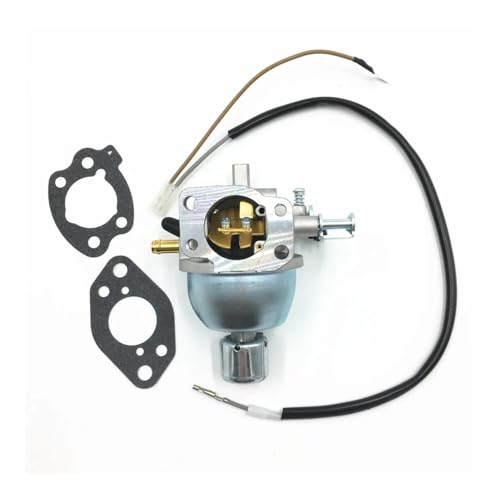 Carburateur avec joints pour 073112B NP contre les calages