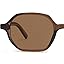 C6-polarized Brown Lens/Brown Frame