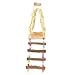 Parrot Tent Ladder with Hammock, Universal Bird Hanging Tent for Parrots and Hamsters, 4 Seasons Decorative Pet Accessory with Climbing Bridge, Open Design for Easy Entry and Exit,