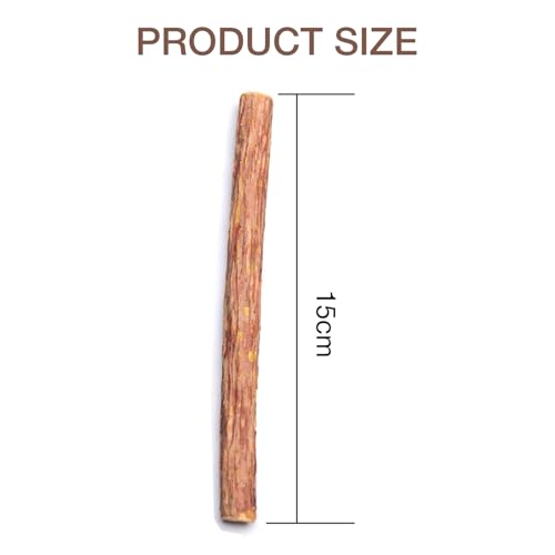 Image of 10PCS Natural Silvervine Sticks | Matatabi Catnip Dental Sticks Cat | Indoor Chew Toys | Wooden Engaging Stick for Teeth Cleaning | Edible Kitty Toys | Teeth Molar Tool | Cat Treat Toy
