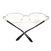 Classic Metal Frame Reading Glasses Men Women Readers Glasses from +0.50 to +6.00 qs8031 (2 Pairs Valuepack, +5.50)