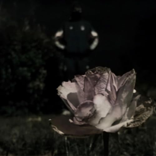 Le mal à la racine [Explicit]