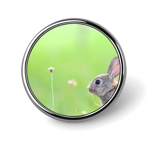 sobW  e ? O[ u[` ys ~^ tH[}  ANZT[ Ǝ   w a LO ȒPt lC  킢 v[g 蕨 Mtg