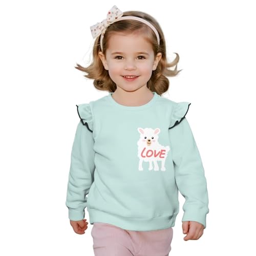 Toddler Sweatshirt Crew Neck Girls Animal Clothes Long Sleeve Hoodie Comfy Tops Preschool for Pre-K 1T-8T