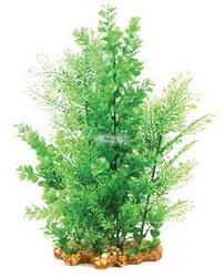 Aqua One Vibrance - Wisteria/Bacopa Aquarium PLant (XL) 28222